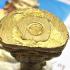 LOOBLOR LP NGERN BANGKLAN MASS CHANT WATTAINAM BE2526 CHANGKHU SAMAKOM +CERTIFICATE CARD OF AUTHENTIC GREAT PROTECTION PREVENT LIFE SURVIVE